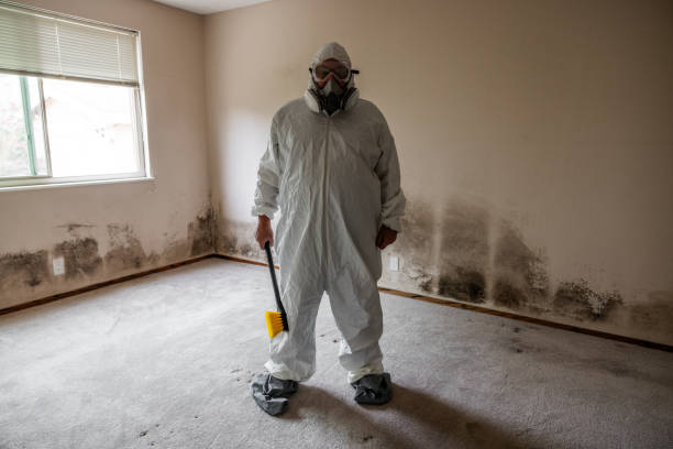 Best Mold Remediation for Specific Building Types in Red Chute, LA